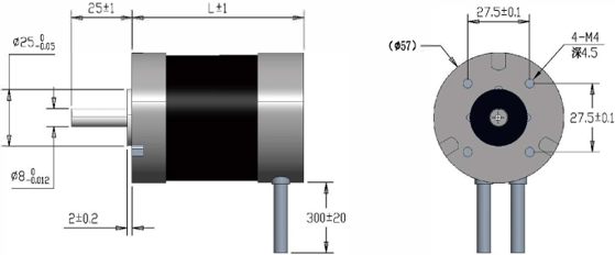 57 Series Brushless DC Motor Technical reference